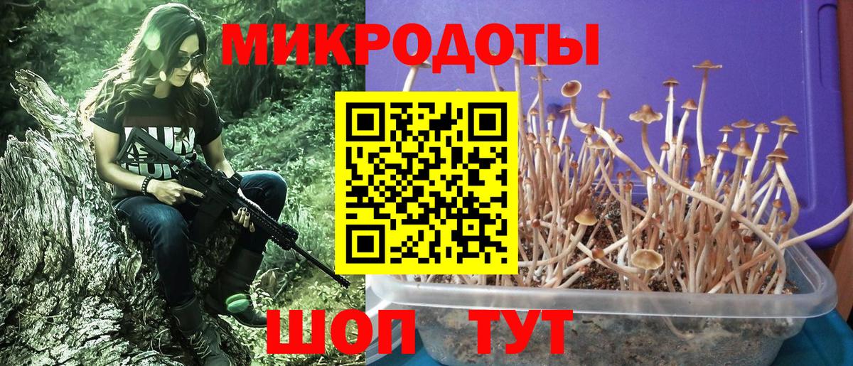 Грозный  Галлюциногенные грибы мицелий  Вход с VPN 