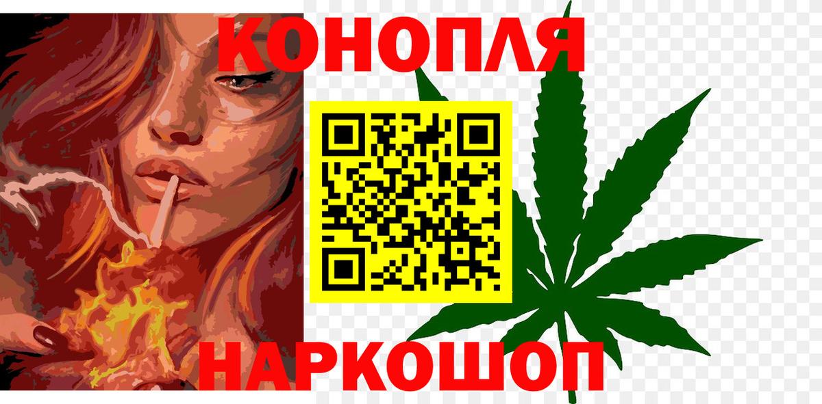 Каннабис планчик  Бошки марихуана марихуана  Вход с VPN  Грозный 